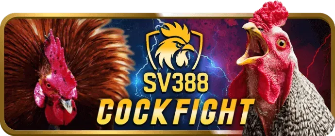 Cá cược thể thao mcw777